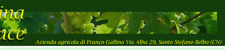 Cascina la Fornace, Azienda agricola di Franco Gallina - Via Alba 29, Santo Stefano Belbo (CN)
